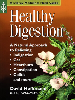 Healthy Digestion - ebook